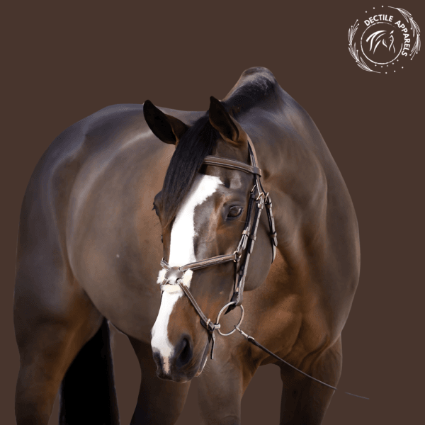 Horse Hunter Jumper Halter 3