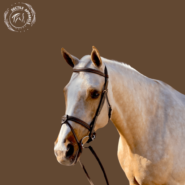 Horse Hunter Jumper Halter 4