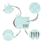 C Green English Saddle Pad USA