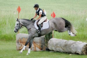 Jumping sky Blue saddle pad