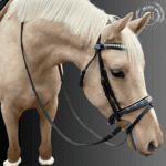 dressage bridle