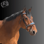 comfortable horse bridle