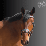 Fleur Snaffle Bridle