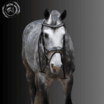 Fleur Snaffle Bridle Cream Padding