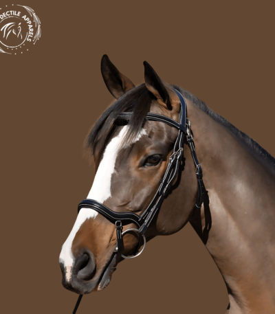 Black Leather Snaffle Bridle