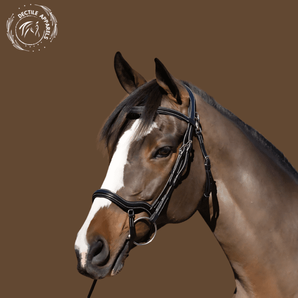Black Leather Snaffle Bridle