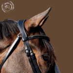 black leather bridle