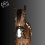 Elegance Crystal Patent Snaffle Bridle