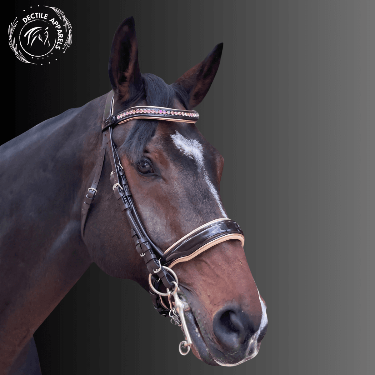 black bay leather horse bridle