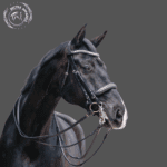 Lexington Non Patent Black Leather Double Bridle