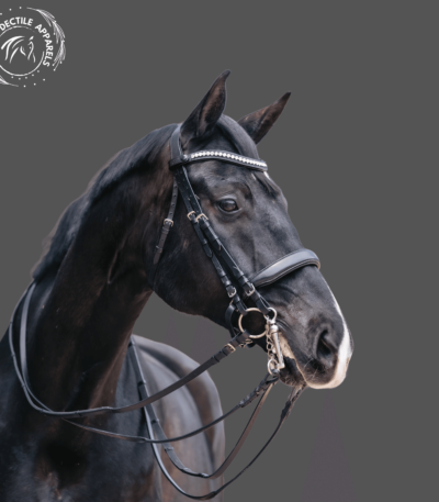 Lexington Non Patent Black Leather Double Bridle