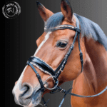 Elite Black Crystal Patent Bridle