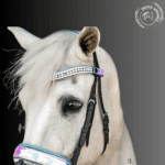 black leather horse bridle