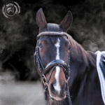 Amalfi Black Patent Sparkle Snaffle Bridle