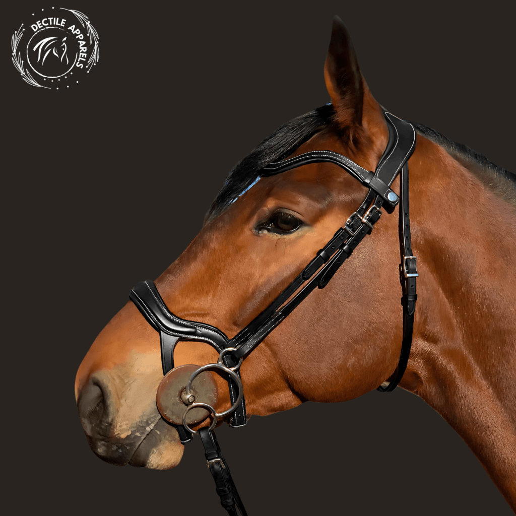 Black Leather Jumper Horse Bridle