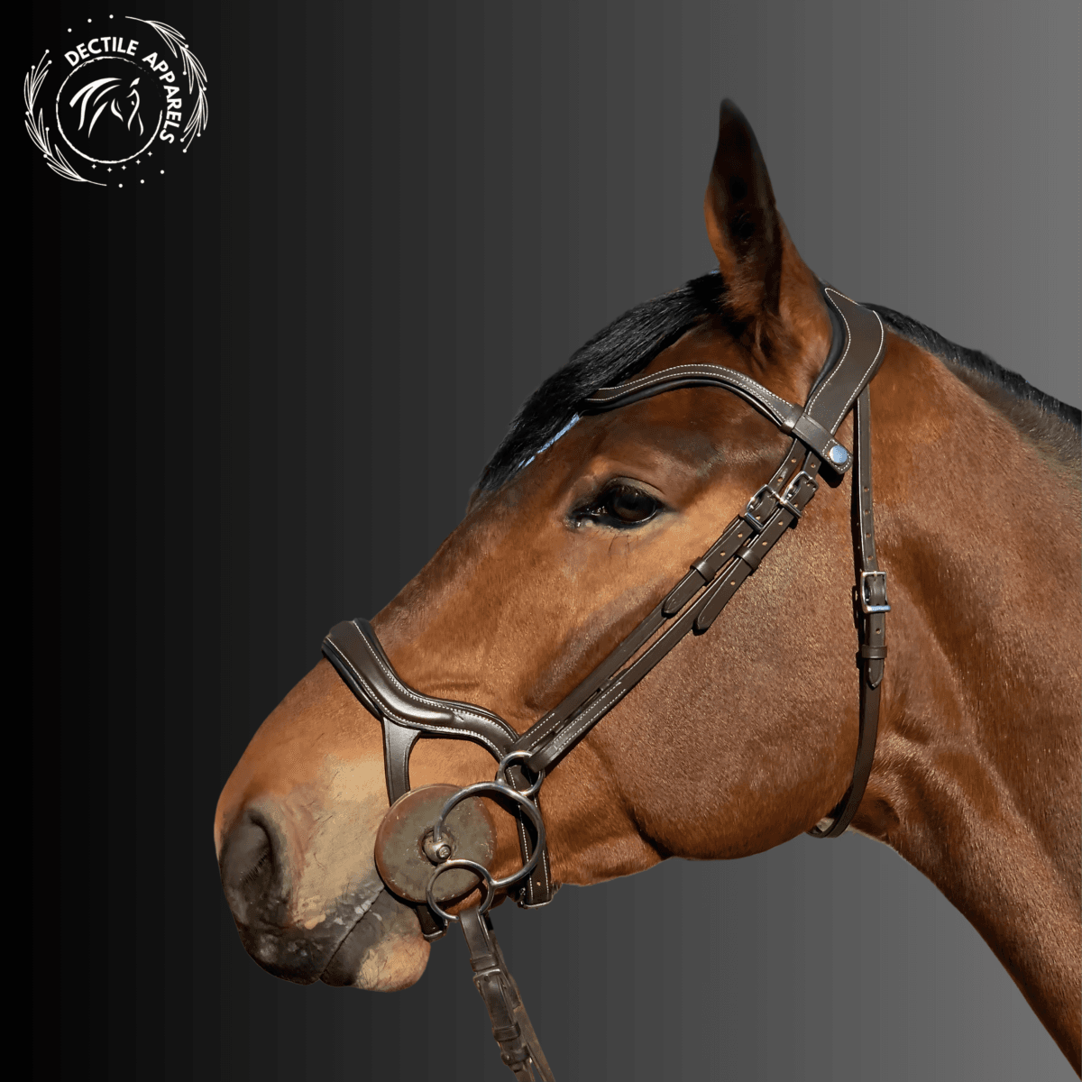 Royal Stride Anatomical Bridle