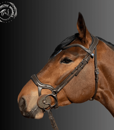 Noble Stride Anatomical Bridle