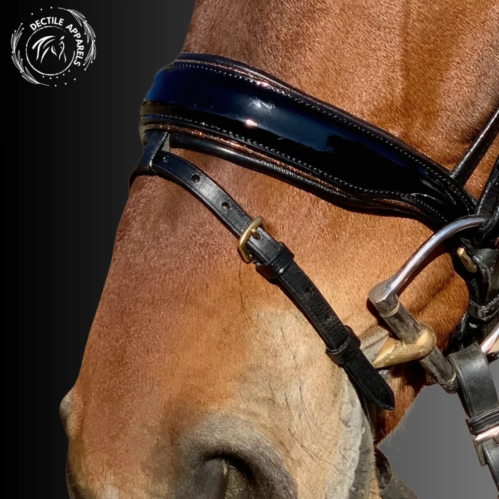 chestnut horse balck bridle