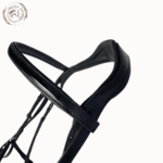 classic dressage bridle