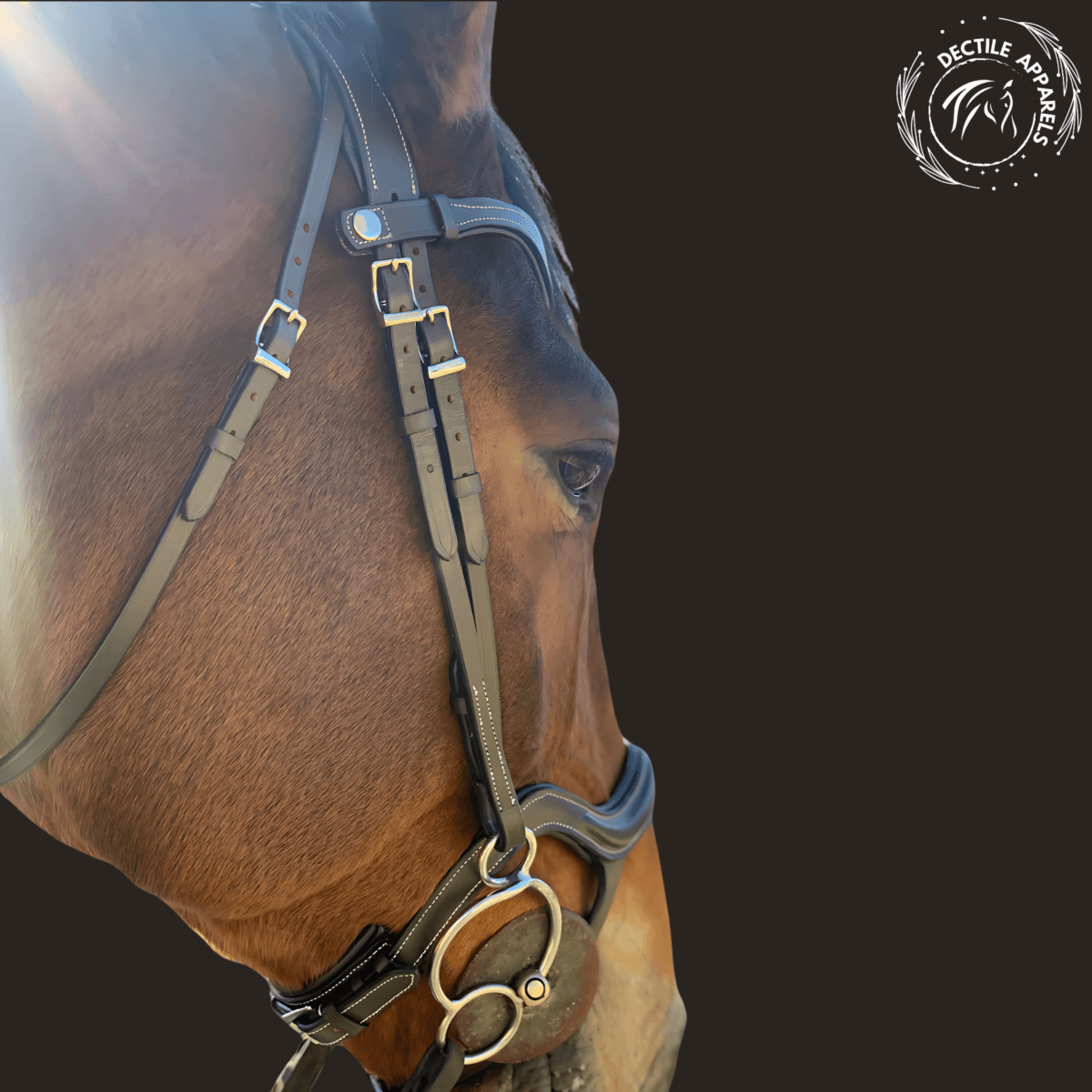 comfortable horse bridle