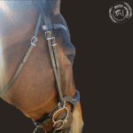 comfortable horse bridle