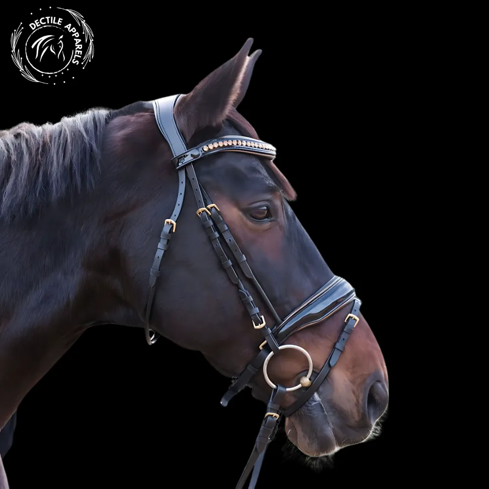 dark bay dressage brdile