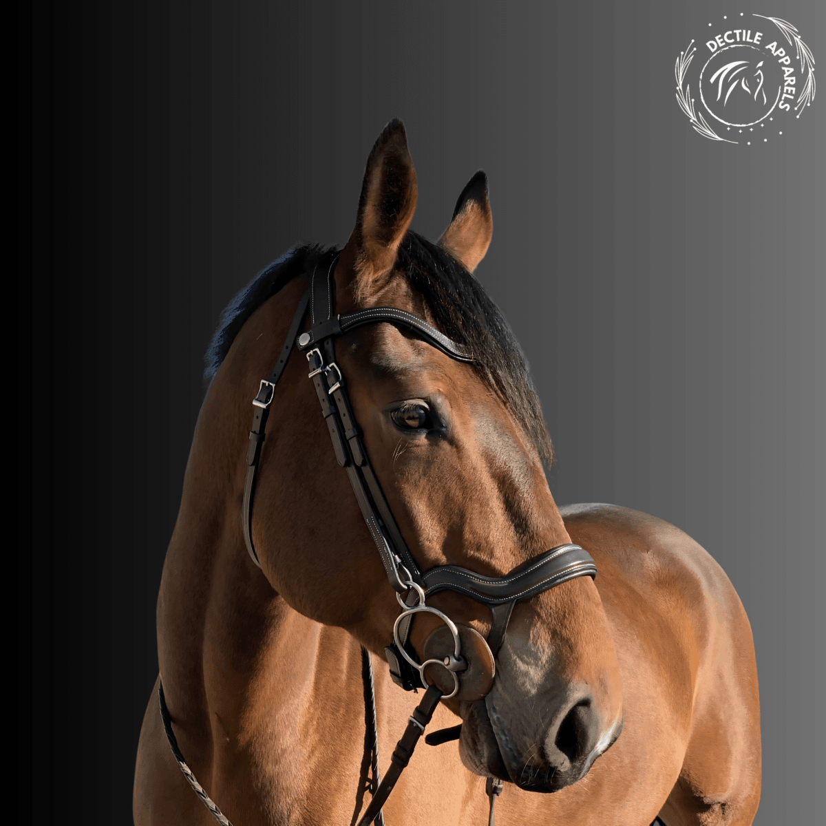 brown leather bridle