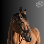 brown leather bridle