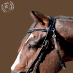 leather jumper bridle