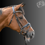 crystal patent bridle