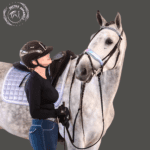 holographic accent bridle