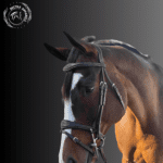 Prestige Black Leather Horse Bridle