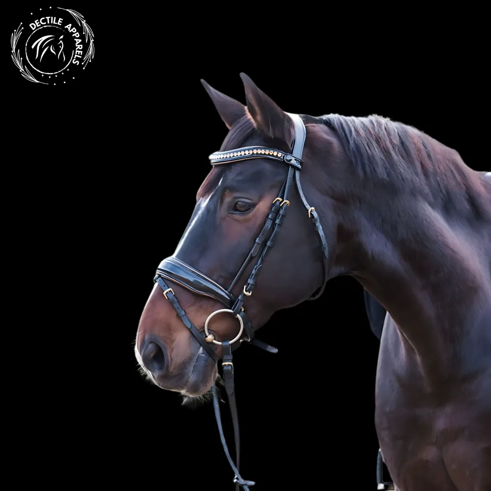 stylish horse bridle
