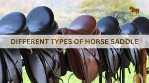 Different Types of Saddles Different Types of Saddles