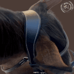 dun horse leather bridle