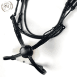 elegant horse bridle