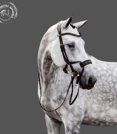 Prestige EquiFit Bridle