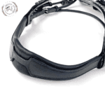 stylish leather bridle