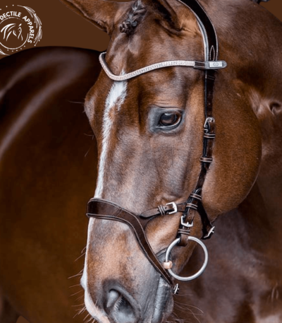 Regal Elegance Nirak Bridle