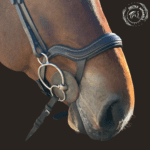 leather bridle