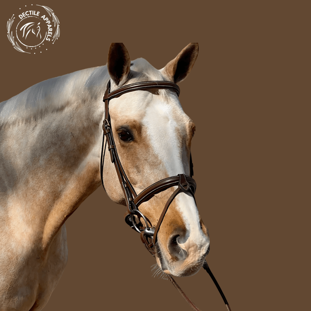 regal majesty horse bridle