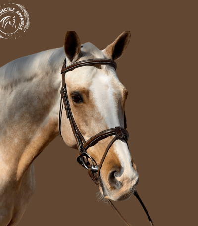 regal majesty horse bridle