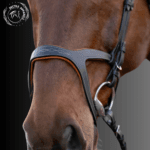 premium leather horse bridle
