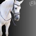 white horse black bridle