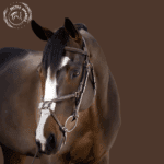 Elite Heritage Brown Leather Bridle