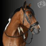 black leather bridle