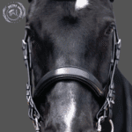 Black Leather Double Bridle
