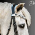 grey horse wearing leather bridle