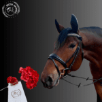 leather horse bridle