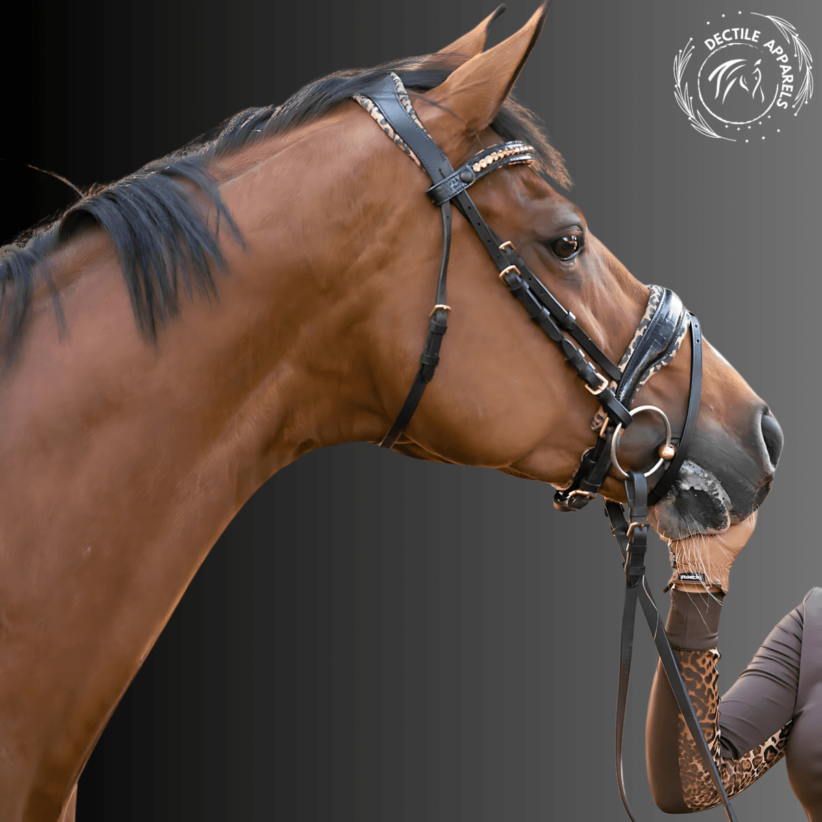 crystal bowband bridle